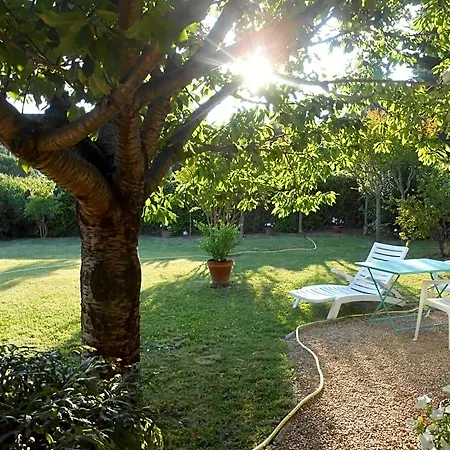 Chez Mamouska 3* Каси